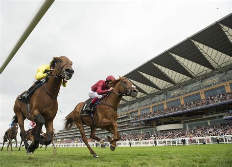 Royal Ascot 2020 scoreboard .